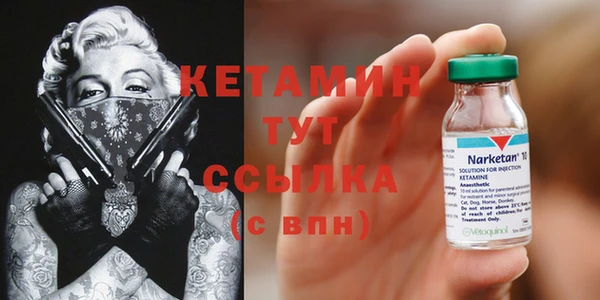 ПСИЛОЦИБИНОВЫЕ ГРИБЫ Богданович