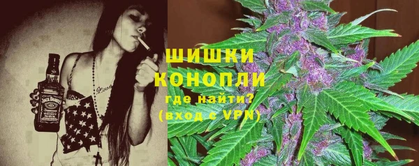 амф Богородицк