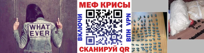 закладки  Мирный  МЯУ-МЯУ мяу мяу 